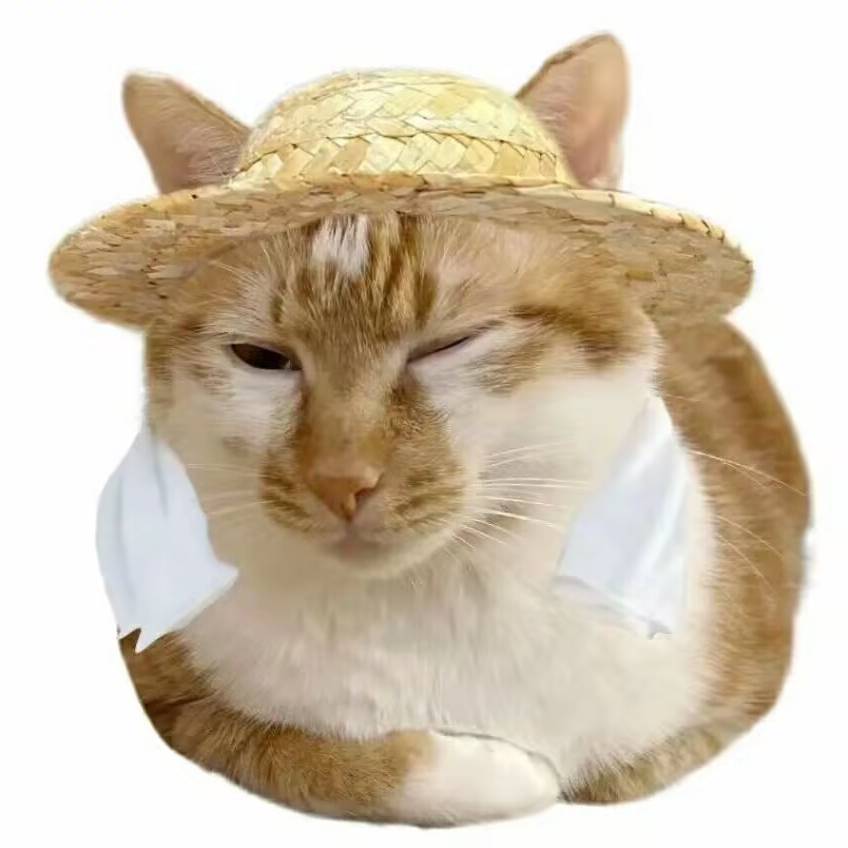 微信头像